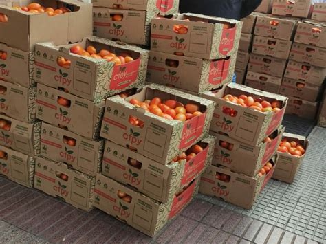 Éxito rotundo en la Feria de Productores de Tomates Portal Digital