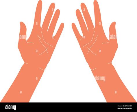 Top View On Two Hands Palms Up Vector Illustration Isolated On White