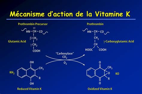 PPT Règles du suivi des patients sous anticoagulant PowerPoint