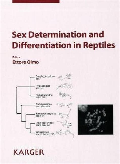 Sex Determination And Differentiation In Reptiles Nhbs Academic And Professional Books