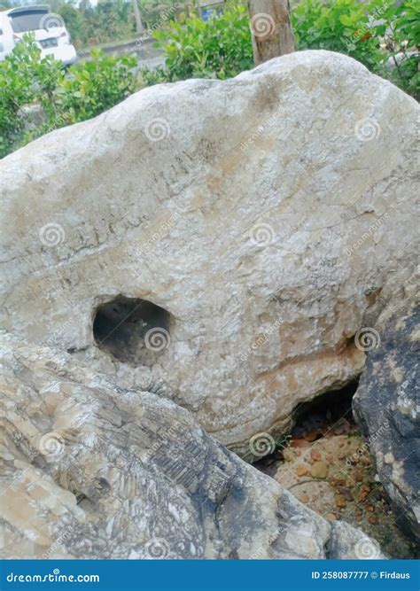 big rock garden 6