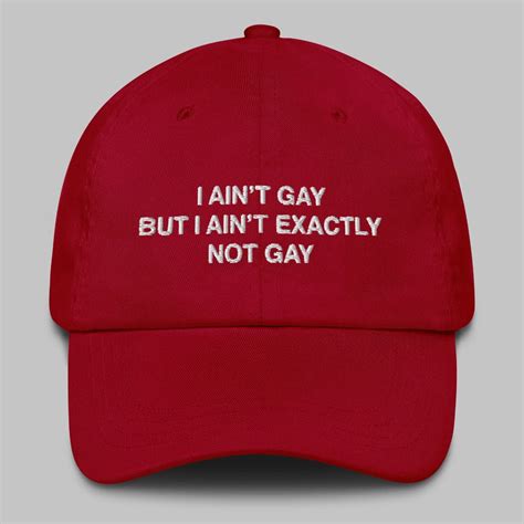 I Ain T Gay But I Ain T Exactly Not Gay Hat Icestork