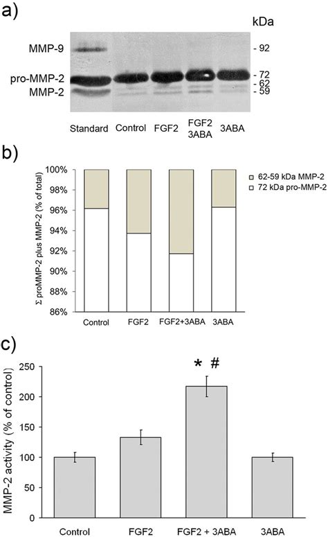 Effect Of Mmp 2 Inhibition On In Vitro Tubulogenesis A Download High Quality Scientific