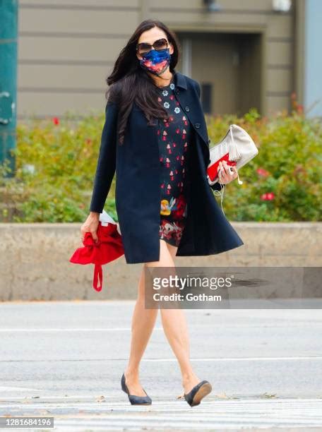 189 Famke Janssen 2020 Stock Photos, High-Res Pictures, and Images ...