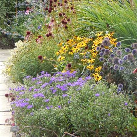 Plants To Attract Bees Shrubs Hedgerows And Trees