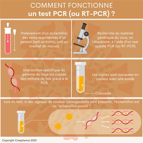 Comment Fonctionne Un Test Pcr Ou Rt Pcr Creapharma