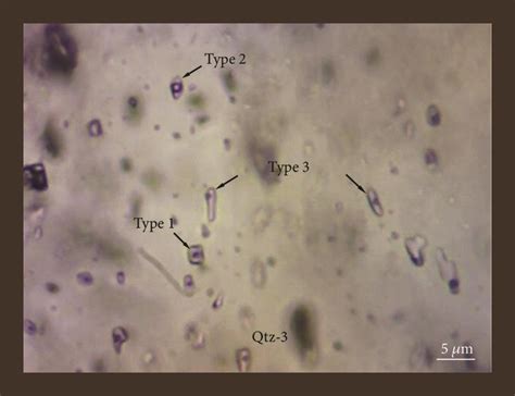 Photomicrographs Showing Different Types Of Fluid Inclusions In