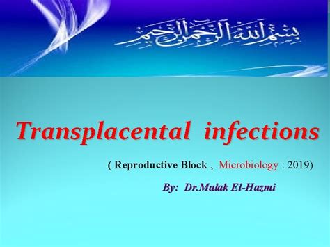 Transplacental Infections Reproductive Block Microbiology 2019 By Dr