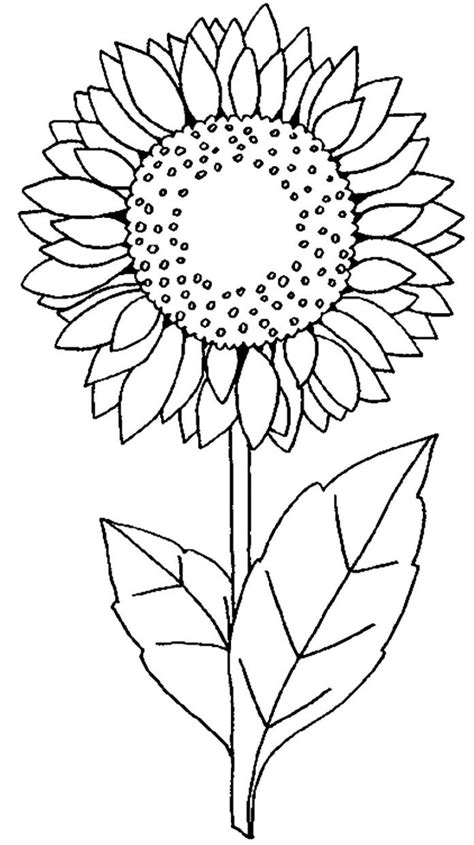 Girassol Para Colorir E Imprimir - +100 Desenhos de Girassol para Colorir e Imprimir
