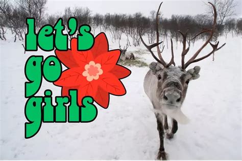 Are Santas Reindeer Female Yep His Sleigh Runs On Girl Power