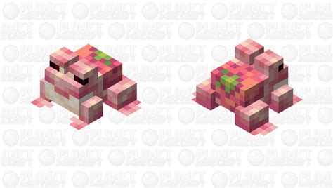 [🍓] It S Strawberry Frog Thing Minecraft Mob Skin