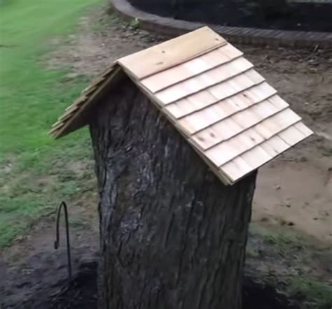 Husband Turns Tree Stump Into Talk Of The Neighborhood In Tree