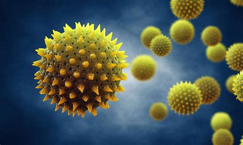 how to remove pollen from car