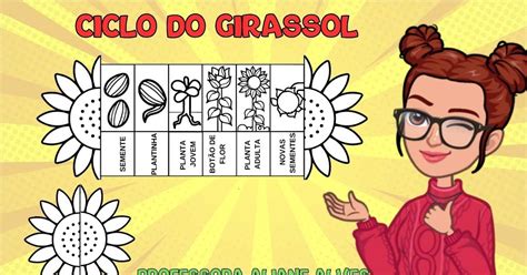 Professora Aliane Alves Oficial: CICLO DO GIRASSOL