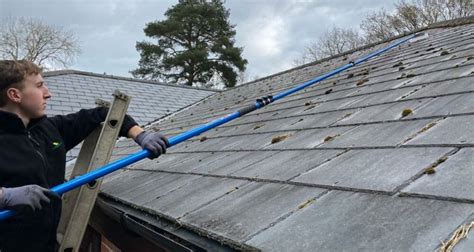 How To Remove Moss From Your Roof Roofers Manchester