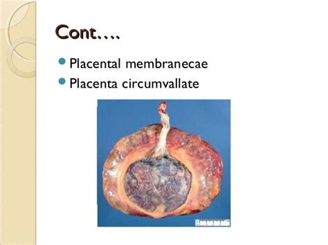 Placenta Examination