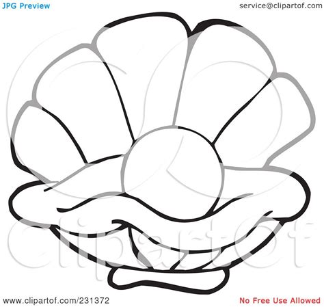 Clams Coloring Pages Printable Royalti