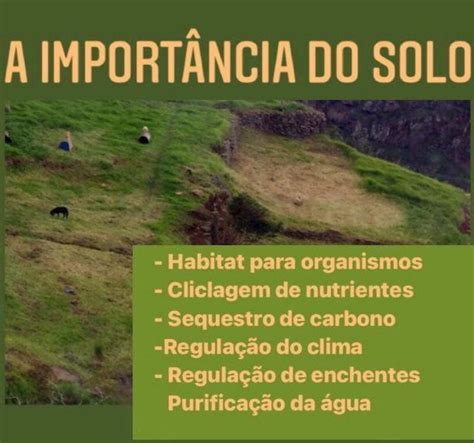 Qual A Importancia Do Solo - 5