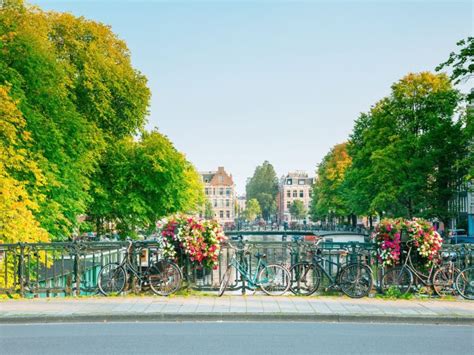 Quartieri Amsterdam Le Zone Migliori Da Visitare