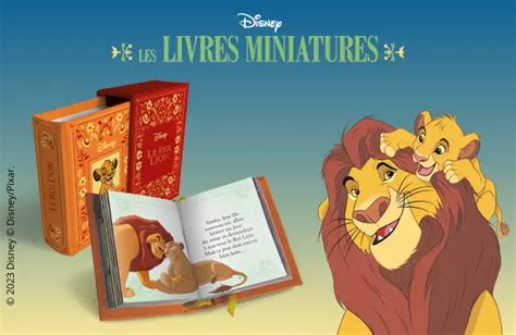 Livres Disney Pour Enfants Collections Jeunesse Hachette Collections