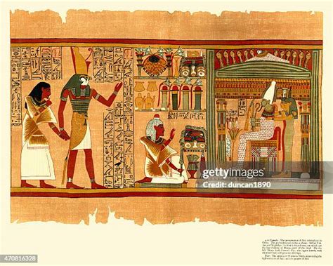53 Ani Papyrus Stock Photos High Res Pictures And Images Getty Images