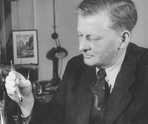 Richard Kuhn Biography - Childhood, Life Achievements & Timeline