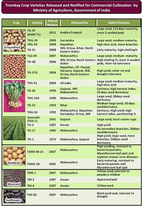 List Of Crop Varieties Agriculture Variety Benefit