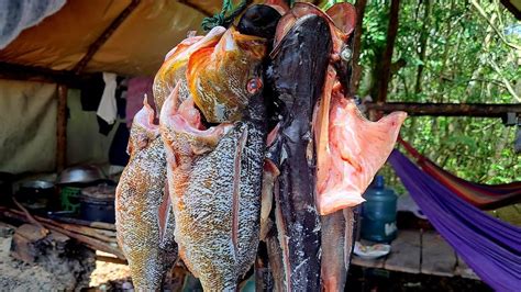 CATCHING and PRESERVING FISH in MAHAICA RIVER. - POBSE