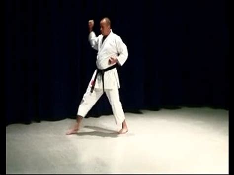 Bassai Dai Shotokan Karate Kata Video Dailymotion