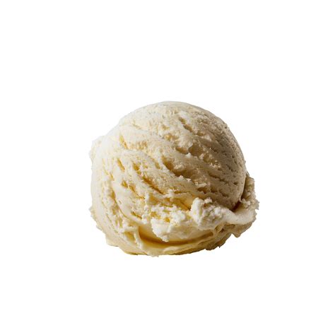 Are Dogs Allowed To Have Vanilla Ice Cream