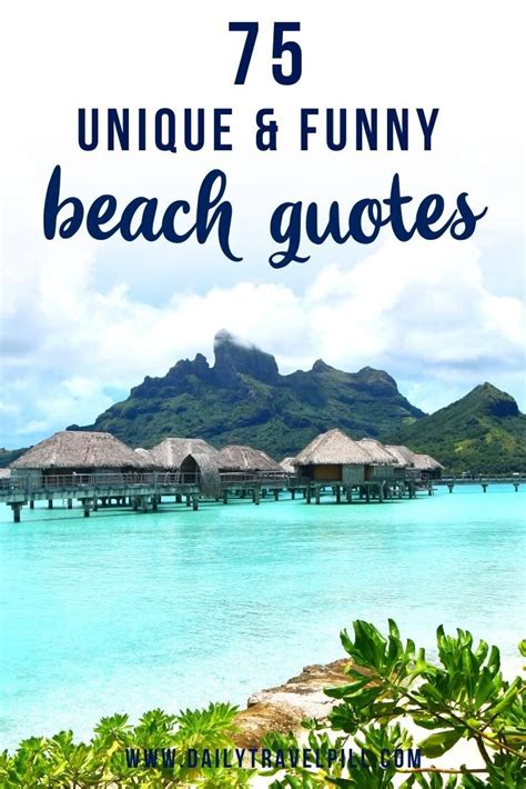 Best Funny Beach Quotes That Will Brighten Your Day Beach Quotes