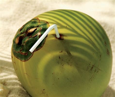 Kokos - náhled - Kokosový ořech (kokos) - popis - Exotické ovoce