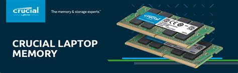 Crucial Memoria RAM CT8G4SFRA32A de 8 GB DDR4 3200MHz CL22 (o 2933MHz o ...