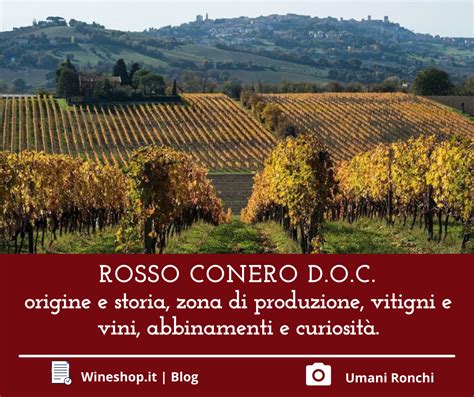 Rosso Conero D O C Origine E Storia Zona Di Produzione Vitigni E