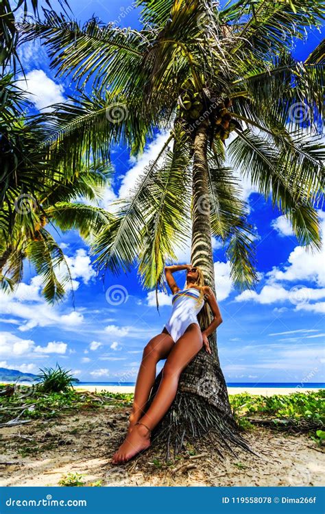 Femme Dans Le Bikini Blanc Posant Au Palmier Photo Stock Image Du Bikini Saison