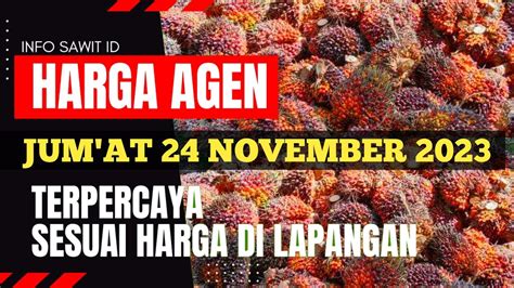 Harga Sawit Hari Ini Di Agen Terbaru November Youtube