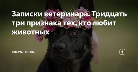 Записки ветеринара. Тридцать три признака тех, кто любит животных ...