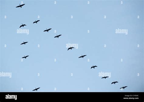 formation  res stock photography  images alamy