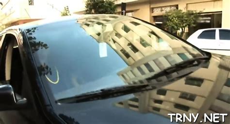 Angelic Brunette Transexual In Erotic Scenery