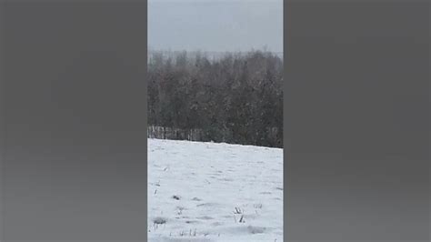 КТО ЕТО БЫЛ ХТО ЗНАЕТ 🐗 - YouTube