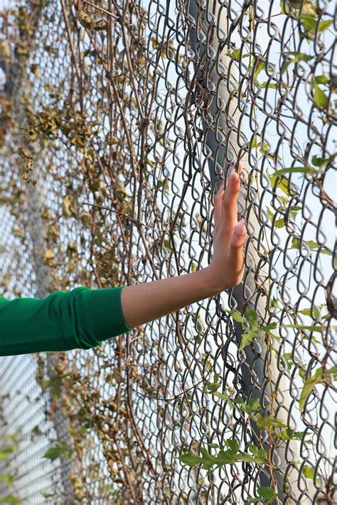 Discovering The Allure Of Sex Fuji Ranran