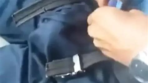 Ursos Free Gay Fat Blowjob Porn Video F Xhamster