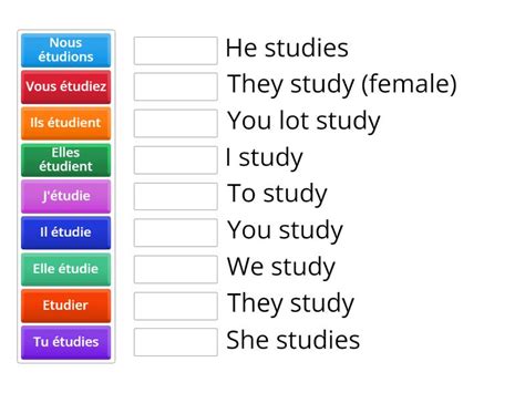 Verb Etudier Match Up