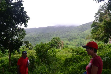 The Fiji Life: Fiji Life: Day 5 - Extreme Hiking