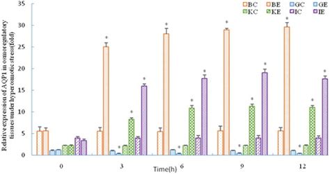 Full Article Nrf2 Is Involved In Osmoregulation Antioxidation And