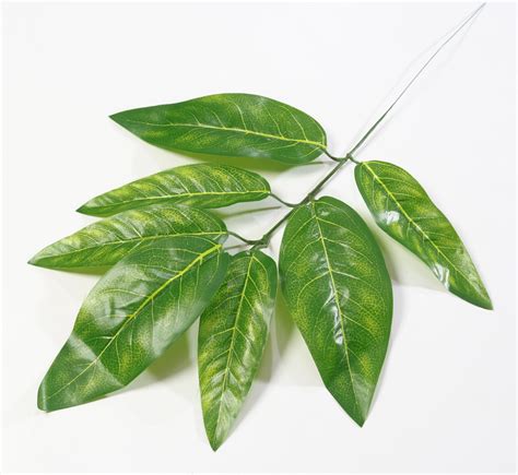 Купить Лист манго "Голд" искусственный от магазина KALINA