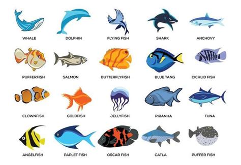 Reef Fish Vector Art Icons And Graphics For Free Download