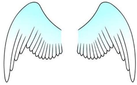 Connection: Animal body parts flashcards
