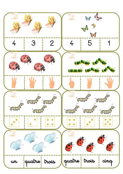 Cartes Compter Les Insectes