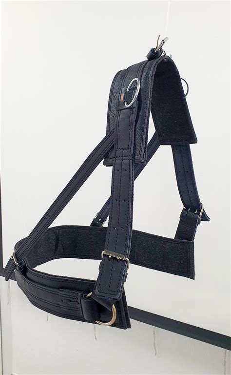 Шлея шора шкіряна на коня Чорний (35) • Краща ціна в Києві, Україні ...